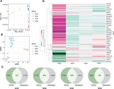 Transcriptome data analysis of primary cardiomyopathies reveals perturbations in arachidonic acid metabolism